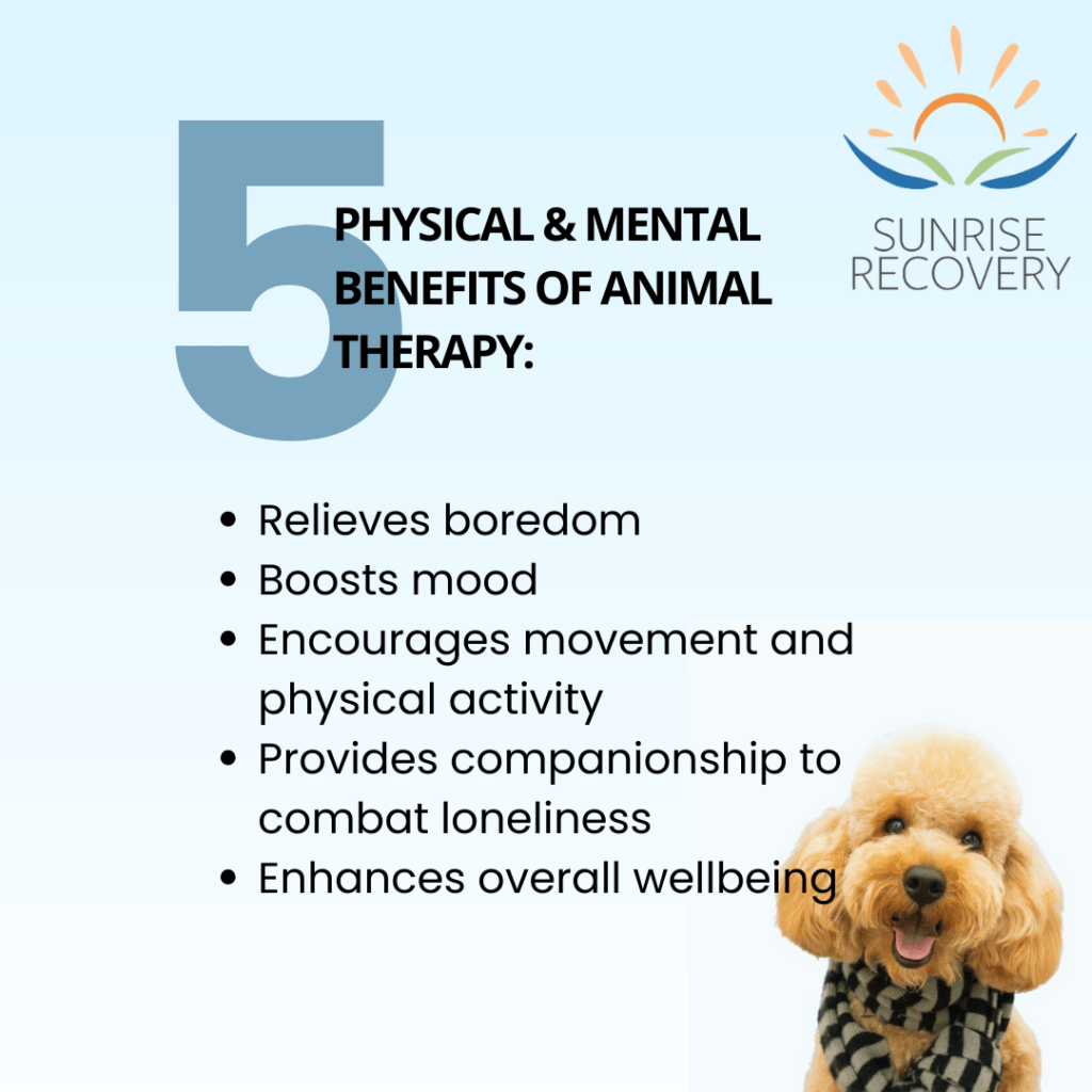 The Role of Pets in Supporting Addiction Recovery