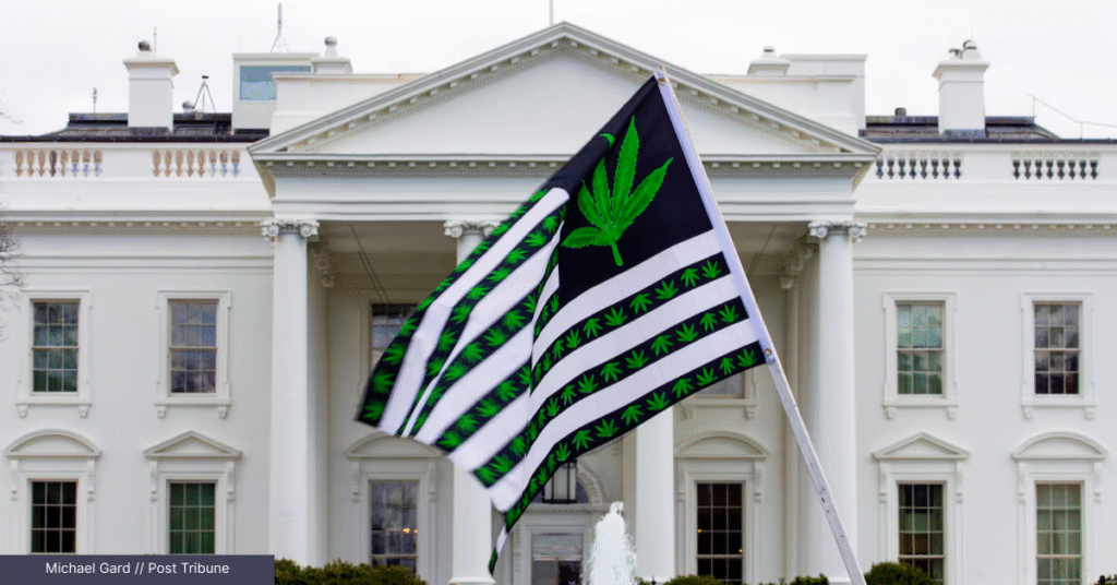 A group of protesters rallying for the Indiana marijuana legalization bill and Indiana cannabis bill 2025 outside the State Capitol.
