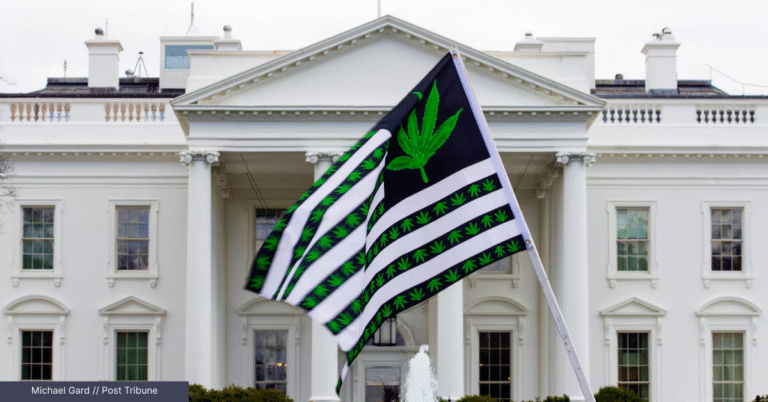 A group of protesters rallying for the Indiana marijuana legalization bill and Indiana cannabis bill 2025 outside the State Capitol.