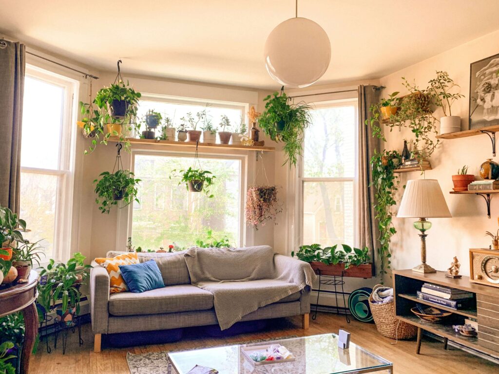 Cozy living space with natural light, indoor plants, and calming decor, promoting environmental wellness in recovery.