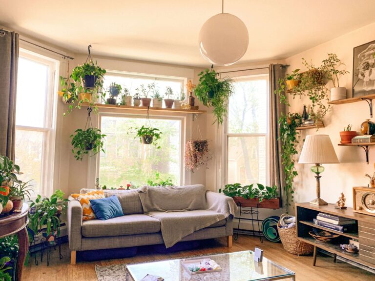 Cozy living space with natural light, indoor plants, and calming decor, promoting environmental wellness in recovery.
