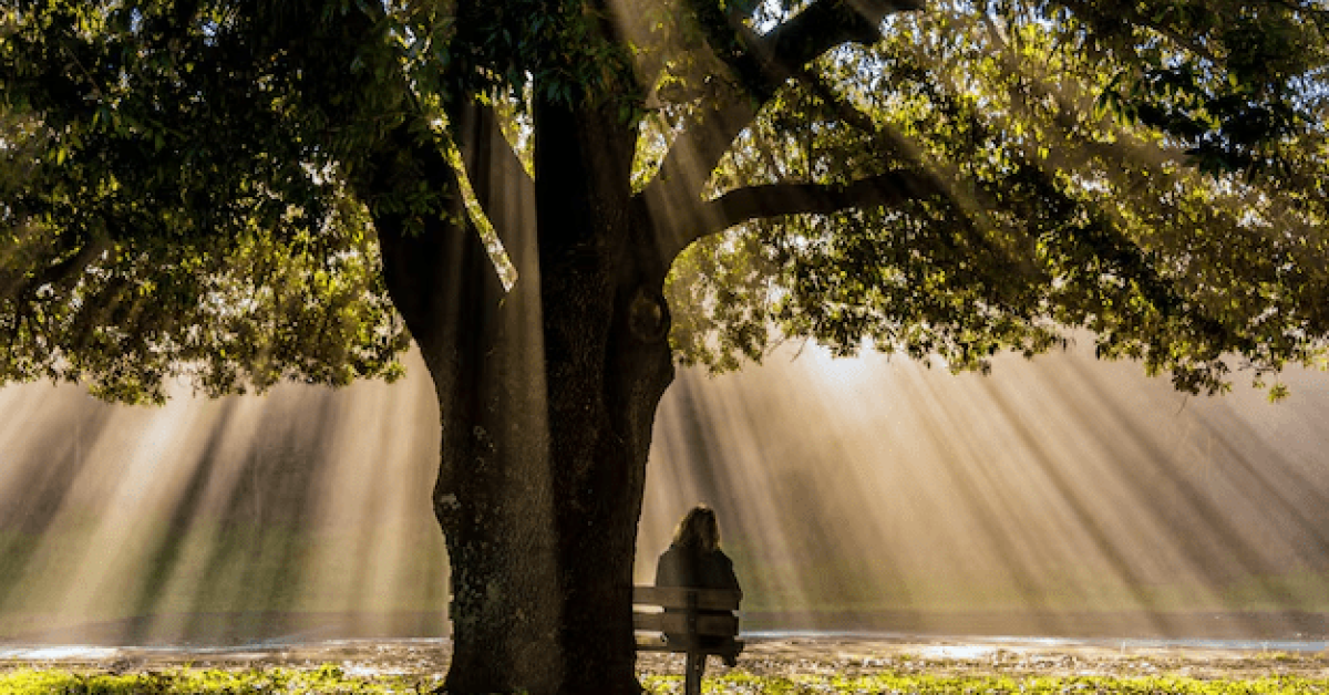 A person reflecting on their journey to overcoming drug cravings in a peaceful park setting, preparing for how to stop drug cravings.
