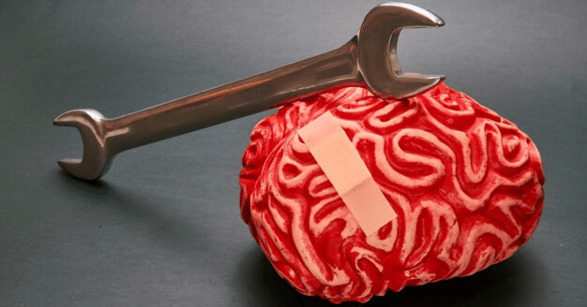 Recovery Can Repair Brain Damage From Drugs