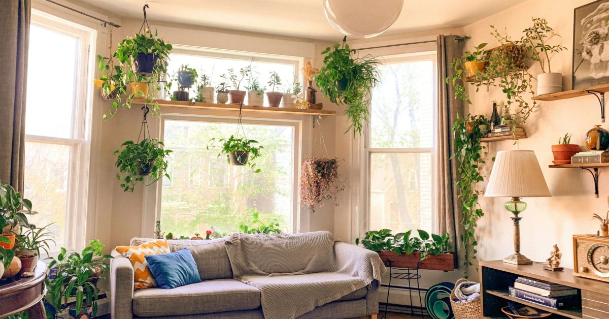Cozy living space with natural light, indoor plants, and calming decor, promoting environmental wellness in recovery.